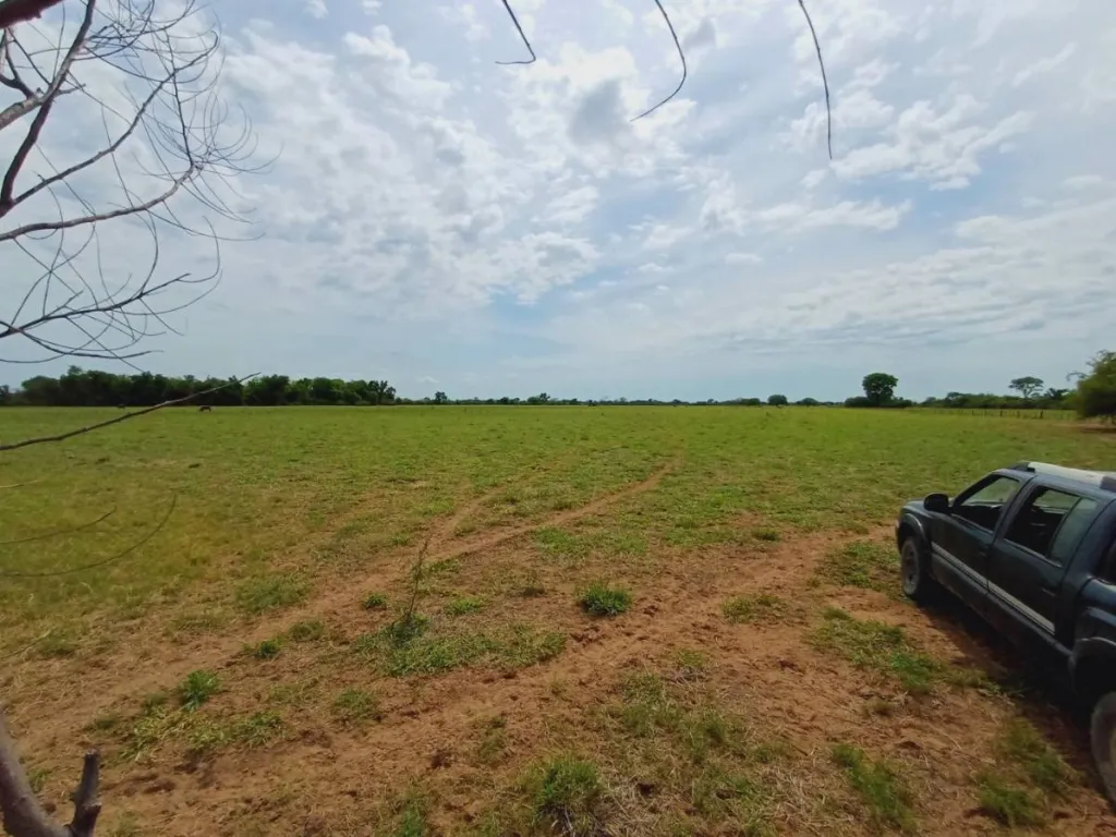 Campo agricola en venta 74 Hect — foto 3