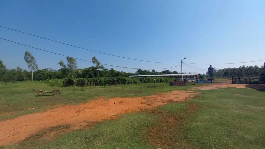 Vendo granja en zona Isla Valle-Areguá. 18 hect — foto 2