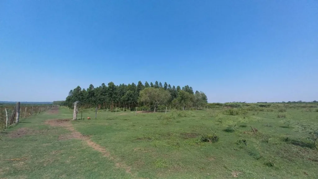 Vendo granja en zona Isla Valle-Areguá. 18 hect — foto 3