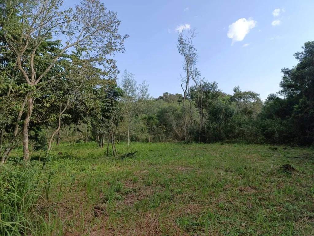 VENDO LOTE DE 512 M2 EN SAN JUAN DEL PARANÁ — foto 2