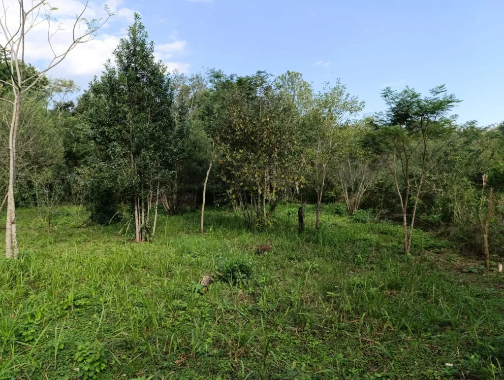 VENDO LOTE DE 512 M2 EN SAN JUAN DEL PARANÁ — foto 3