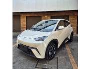 Byd seagull año 2025