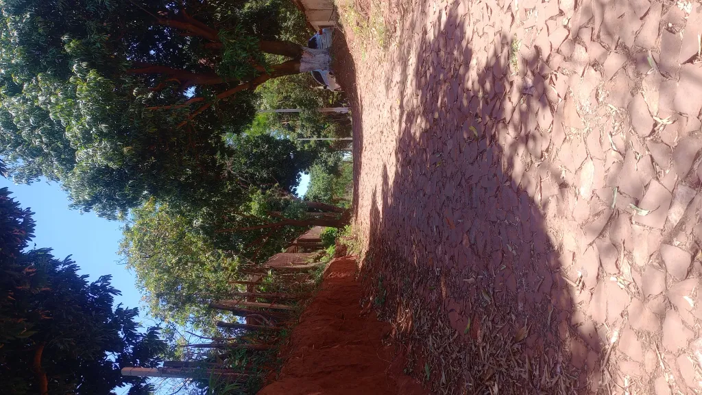 Vendo terreno en Capiatá sobre Avenida las Piedras — foto 3