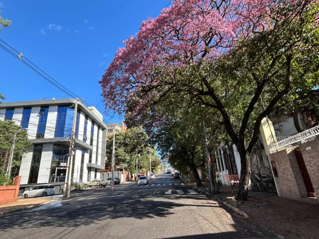 Terreno sobre Av. Perú a 2 cuadras Av. Pettirossi — foto 2