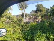 Vendo terreno de14x40 en Mora Cue Luque
