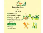 Mantenimientos de Jardines y piscinas