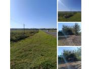 1100 hectáreas en Caaguazú