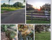 200 hectáreas en Caaguazú