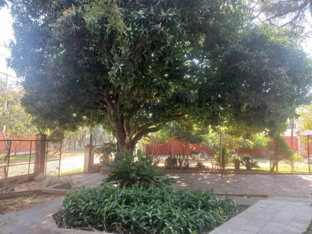 VENDO CASA EN BARRIO COLÓN SAN BERNARDINO - ALTOS — foto 2