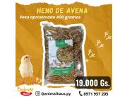 Heno de alfalfa para conejos, cobayos, hamsters