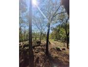 Vendo Hectáreas en Ciervo Cua con Vista Plena al Lago