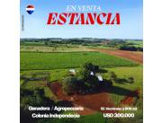 ESTANCIA GANADERA Y AGROPECUARIA.
