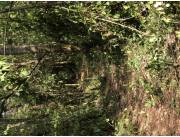 Hermosa propiedad en Altos