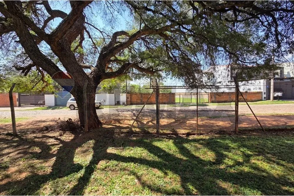 VENDO TERRENO EN FERNANDO NORTE 420 M2 — foto 2