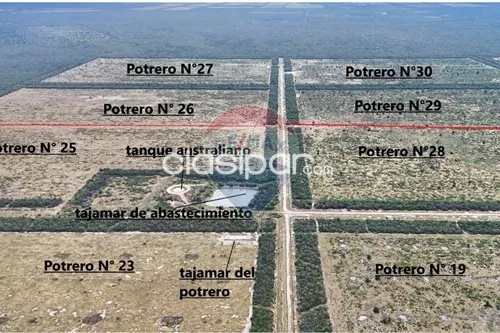 EstanciaCampo-Venta-PY Alto Paraguay Fuerte Olimpo — foto 3