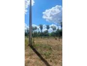 EN VENTA TERRENO EN NUEVA COLOMBIA ID 41409