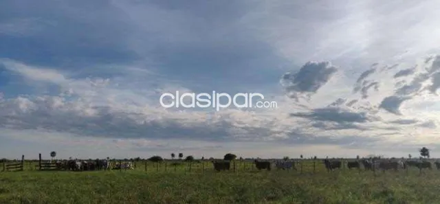 ESTANCIA FORMADA EN VENTA – PRESIDENTE HAYES — foto 2