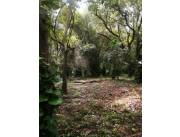 Gran Oportunidad de Inversión en Maramburé