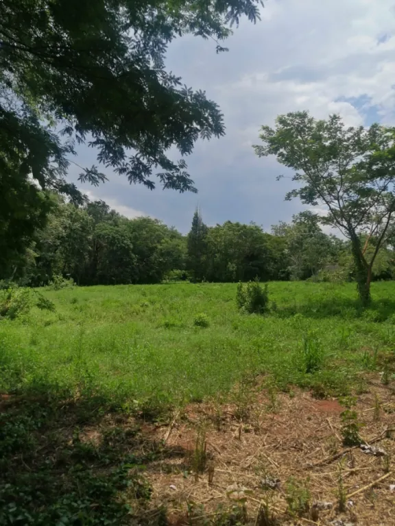 Gran Oportunidad de Inversión en Maramburé — foto 2