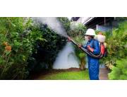 Servicio de fumigación