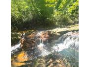 1.200 hectáreas en Santaní. San Pedro. Estancia Modelo. En Producción a transferirte B/S/P