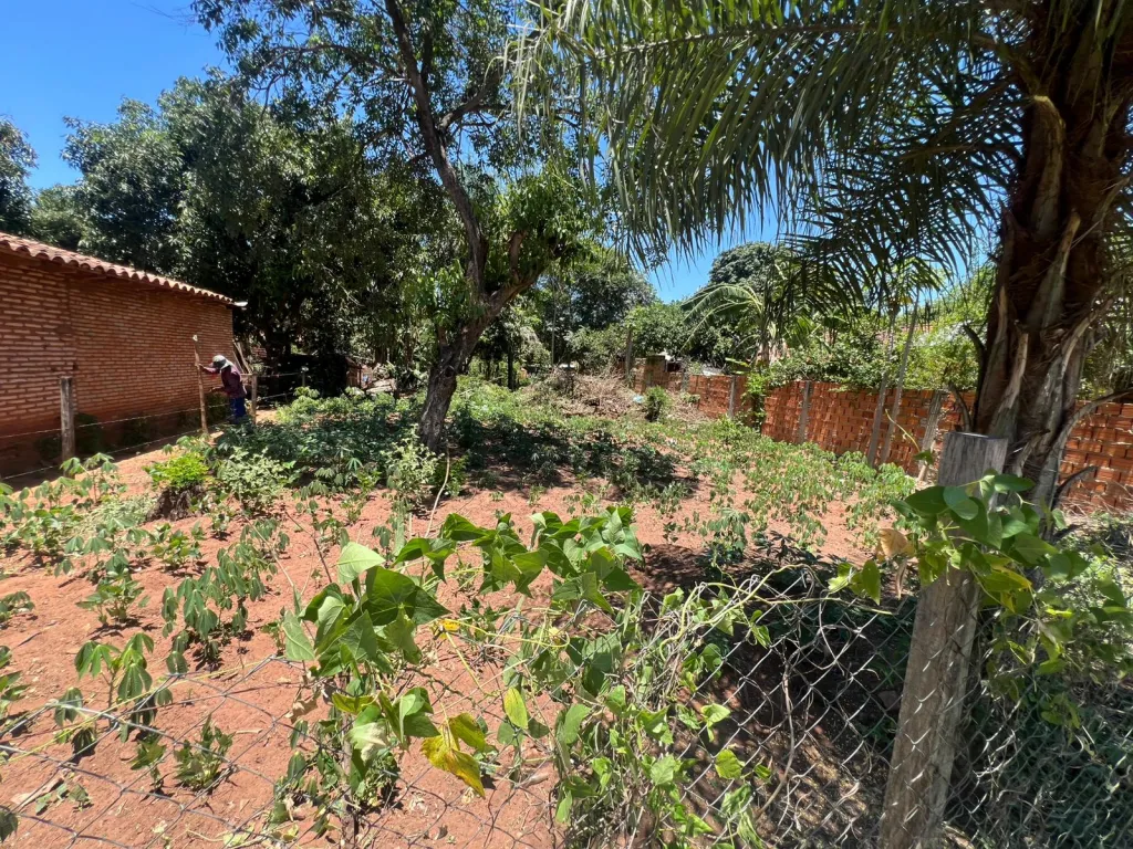 VENDO TERRENO ZONA YPANE - YTORORO — foto 3