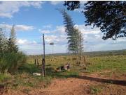 Vendo 750 has. Yby Pyta – Canindeyu