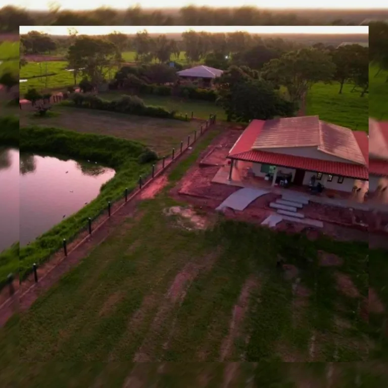 Estancia en Venta. San Pedro., en Producción Agrícola Ganadera. A la venta. Contado. Consu — foto 3