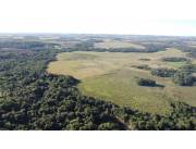 OFERTA CAMPO DE 59 HECTÁREAS ZONA URUSAPUKAI DISTRITO DE ENCARNACIÓN