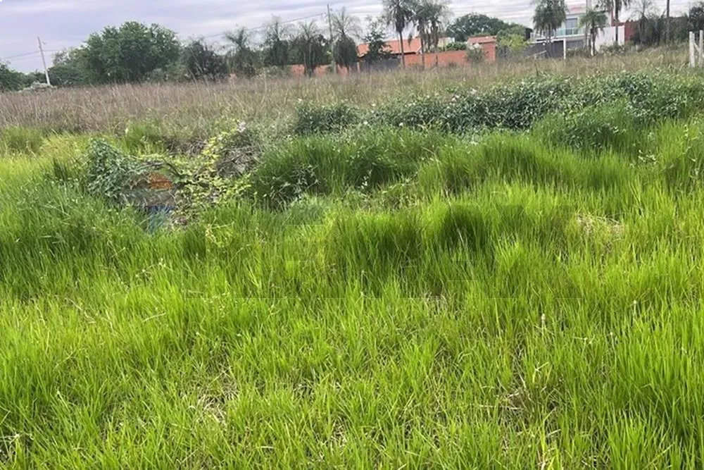 VENDO TERRENO EN PUERTA DEL LAGO- SAN BERNARDINO — foto 2