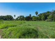 Terreno de 35.736 m² – San Lorenzo, Av. de la Victoria