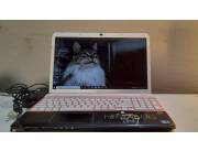Notebook SONY VAIO