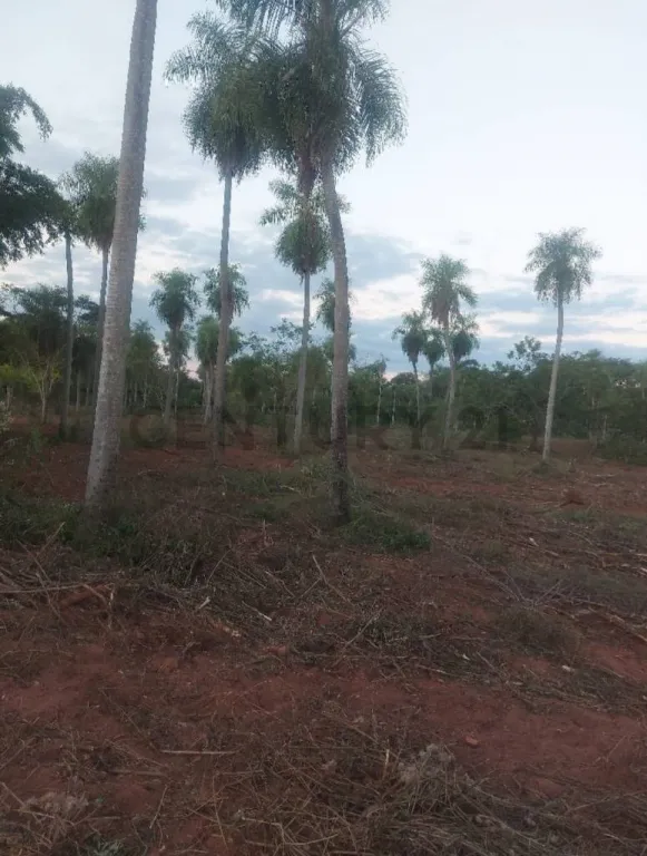 VENDO 15000 m2 IDEAL PARA CASA QUINTA O LOTEAMIENTO — foto 2