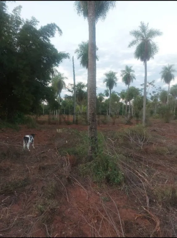 VENDO 15000 m2 IDEAL PARA CASA QUINTA O LOTEAMIENTO — foto 3