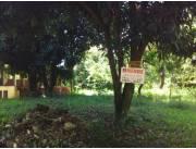 VENDE CIUDAD DEL ESTE CENTRO FRACCION CATEDRAL ZONA DEPOSITOS