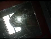 Tengo perro bichon maltes