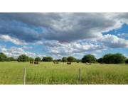 VENDO ESTANCIA DE 3765 HECTAREAS EN FUERTE OLIMPO ALTO PARANA