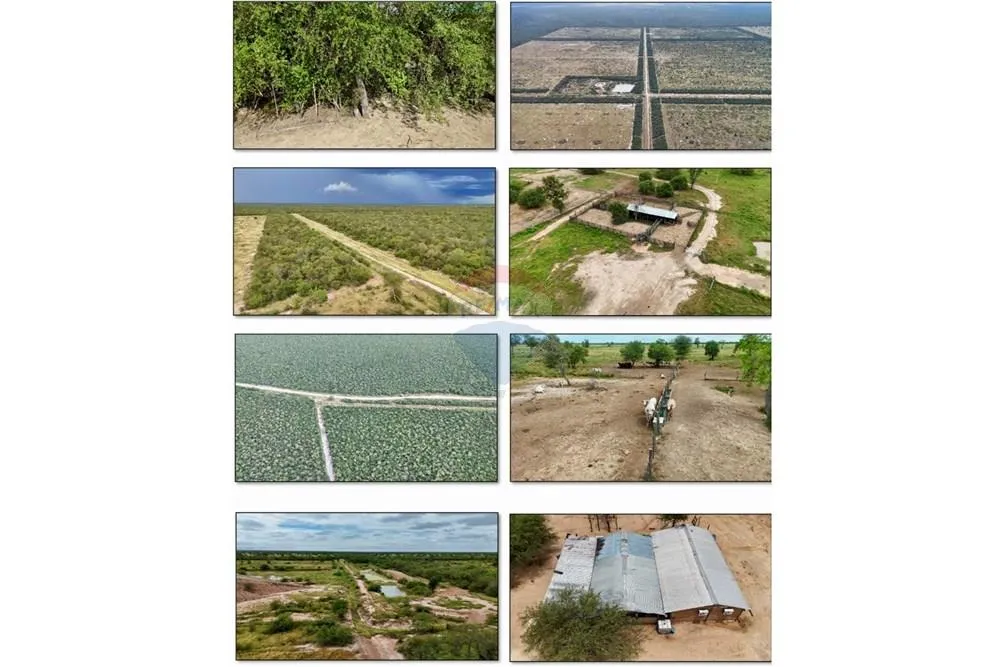 VENDO ESTANCIA DE 3765 HECTAREAS EN FUERTE OLIMPO ALTO PARANA — foto 2
