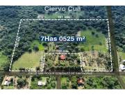 VENDO TERRENO EN SAN BERNARDINO