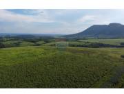 ESTANCIA GANADERA Y AGROPECUARIA.