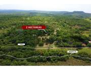 VENDO CASA QUINTA DE 2 HECTAREAS EN CAACUPE