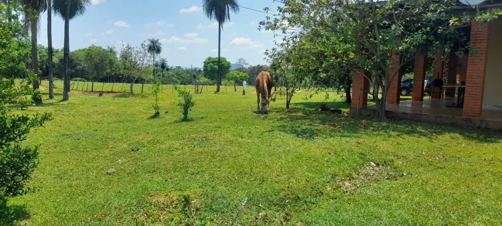 EN VENTA – ESTANCIA DE 23 HECTÁREAS EN CARAPEGUA (PARAGUARÍ) — foto 2