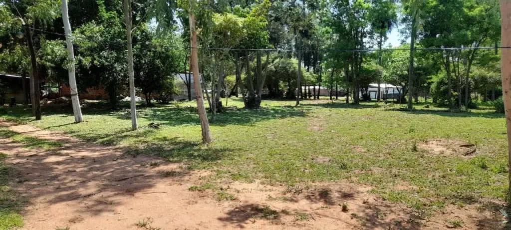 EN VENTA – ESTANCIA DE 23 HECTÁREAS EN CARAPEGUA (PARAGUARÍ) — foto 3