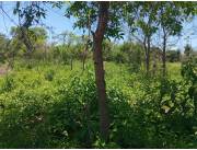Limpieza de Terreno o hectárea. Al Raz con o sin raíz con o sin recogimiento de residuos C