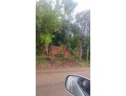 Queres construir tu muralla.!! Pero hay árboles que quitar llámanos y te solucionamos Dest