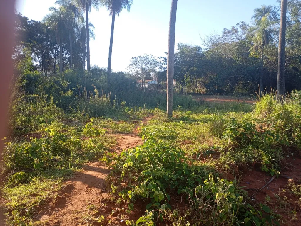 Oportunidad única: 6 terrenos juntos en Pindolo, Areguá — foto 2