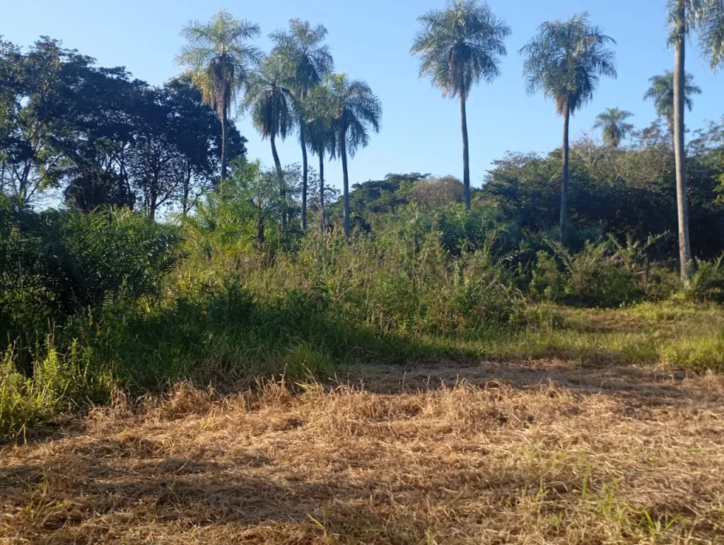 Oportunidad única: 6 terrenos juntos en Pindolo, Areguá — foto 3