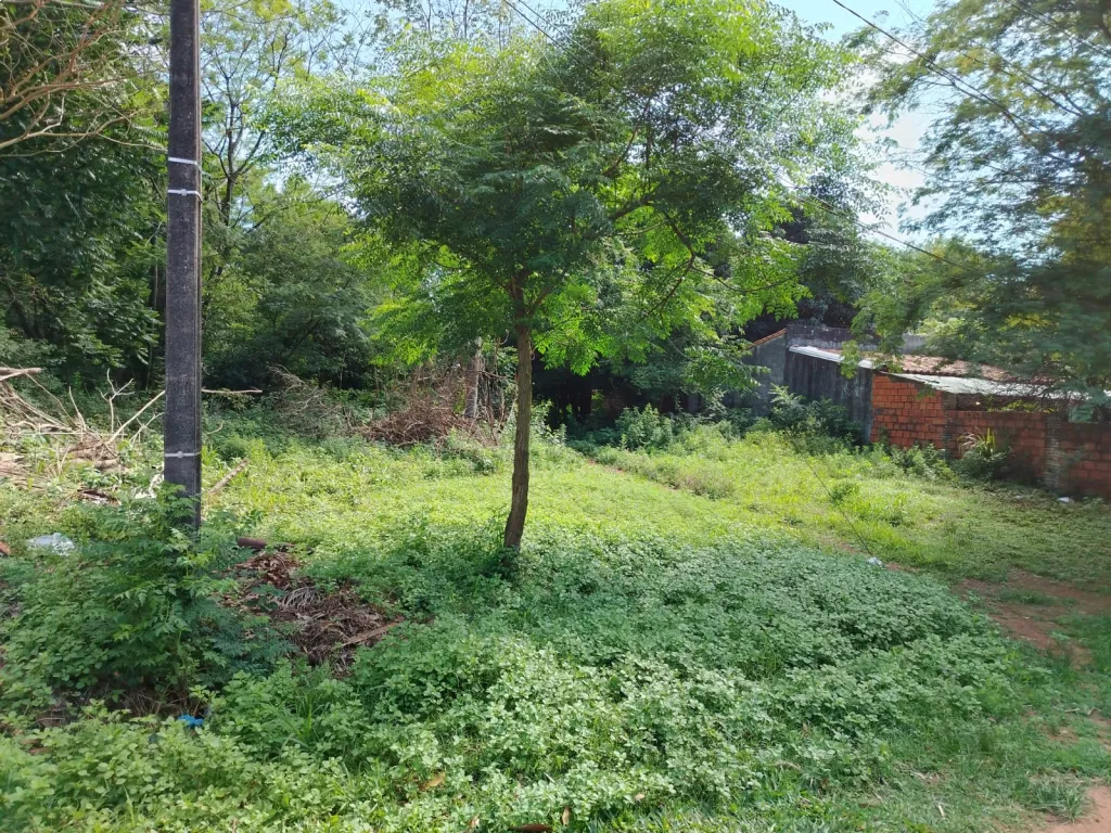 VENDO TERRENO EN ÑEMBY!!! — foto 2