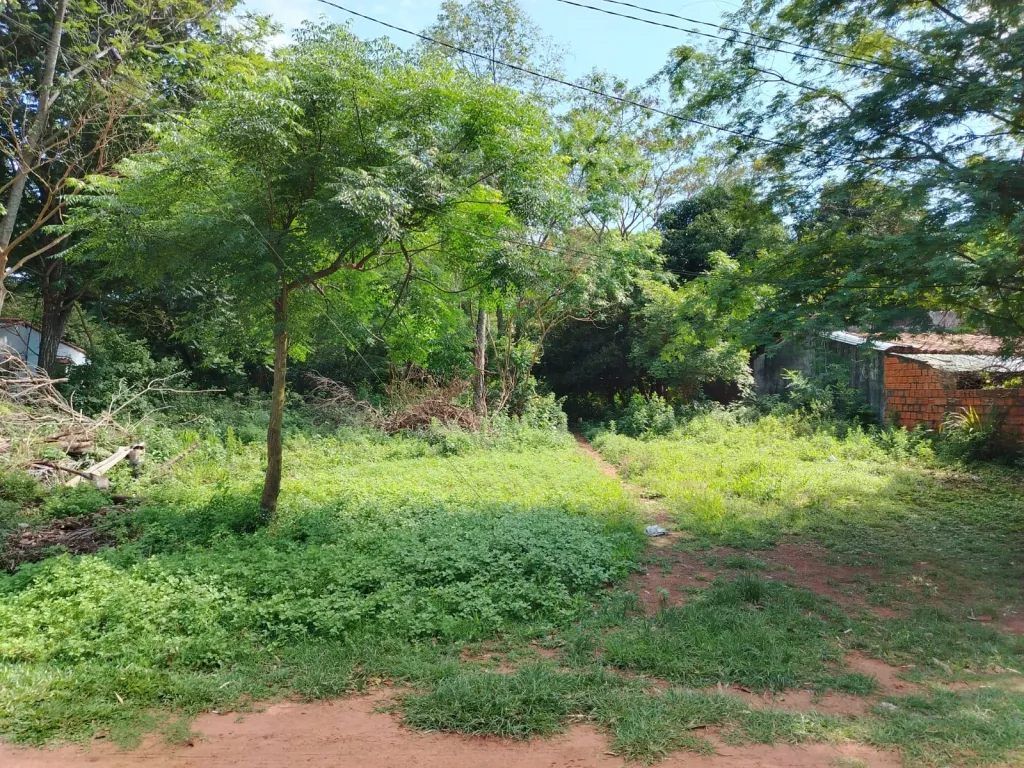 VENDO TERRENO EN ÑEMBY!!! — foto 3