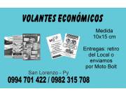 VOLANTES ECONOMICOS